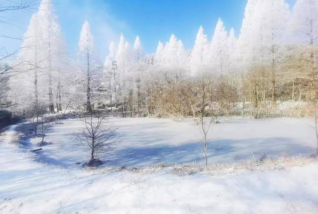 沪江开心词场
